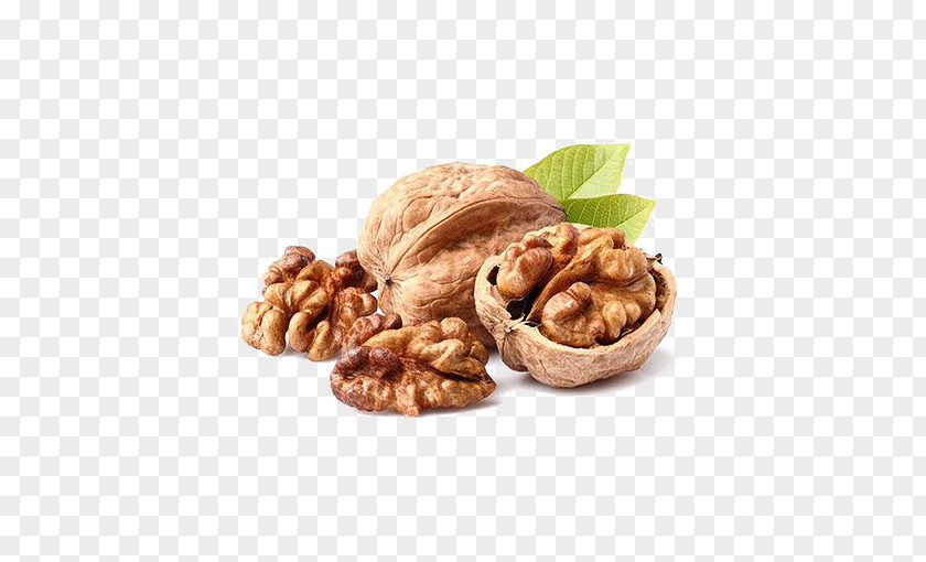 Walnut Deductible Elements Dried Fruit Health Brain PNG
