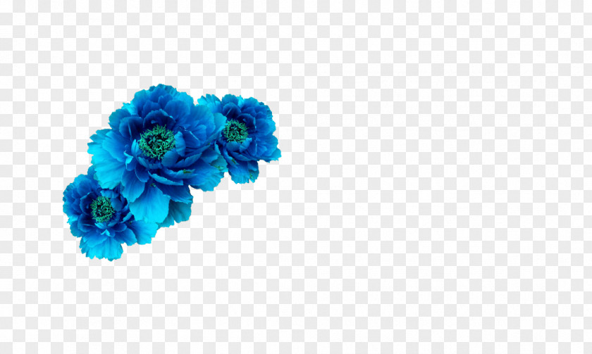 Blue Flower Crown Wreath Aqua PNG