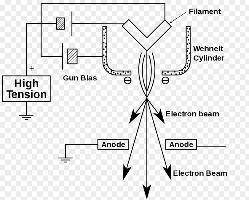 Microscope Biological Electron Microscopy Gun Transmission PNG