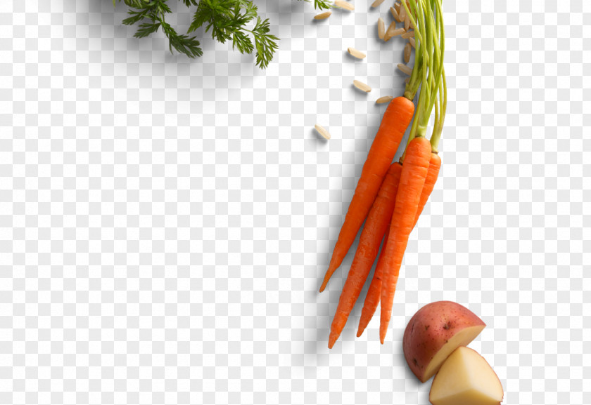 Natural Ingredients Baby Carrot Pet Food Ingredient Recipe PNG