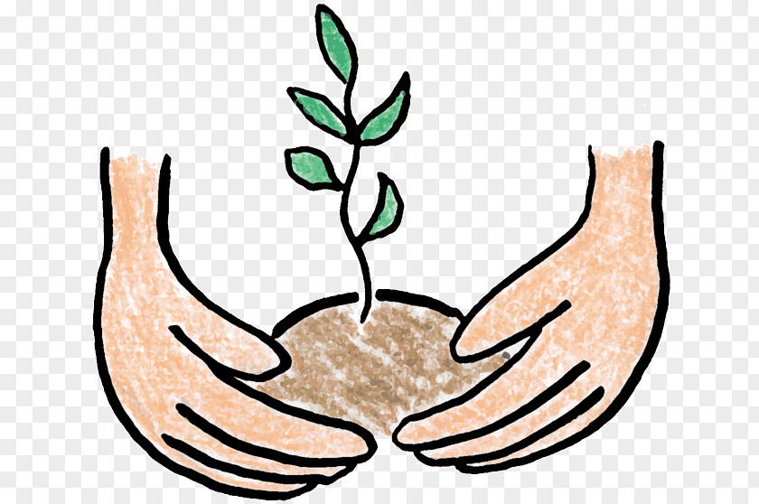 Plants Clip Art Tree Planting Openclipart Sowing PNG