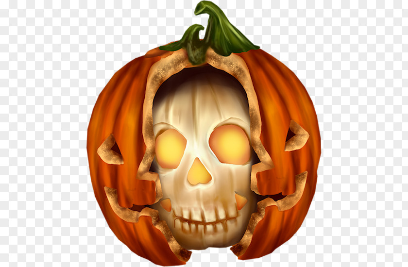 Pumpkin Jack-o'-lantern Winter Squash Gourd Cucurbita Maxima PNG