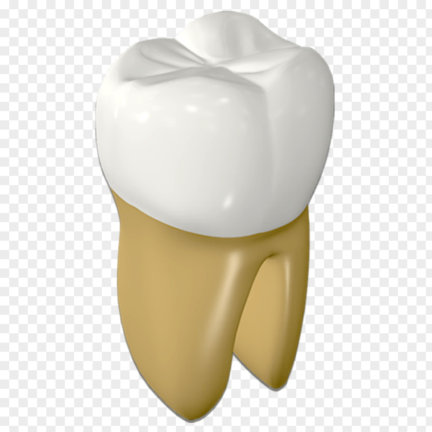 Strong Teeth Tooth Human Mouth PNG