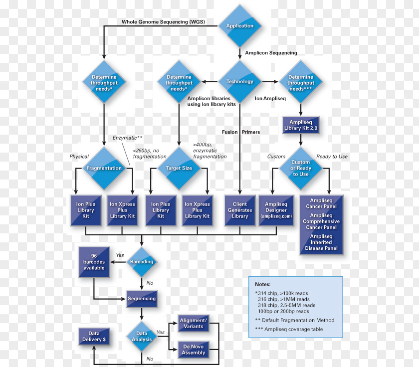 Tree Decision Diagram Business PNG