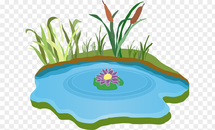 Water Pond Clip Art PNG