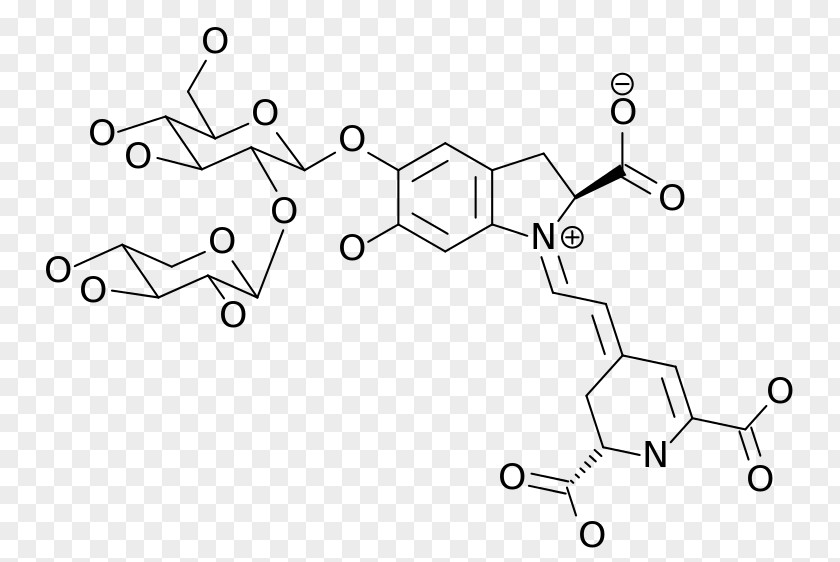 Betalain Common Beet Food Chemistry Pigment PNG