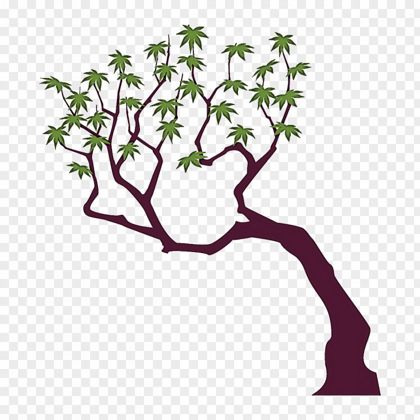 Branch Plant Tree Flower Stem PNG