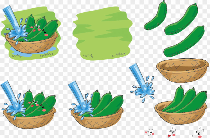 Cucumber Expression Vector Bath Vegetable Sticker Illustration PNG
