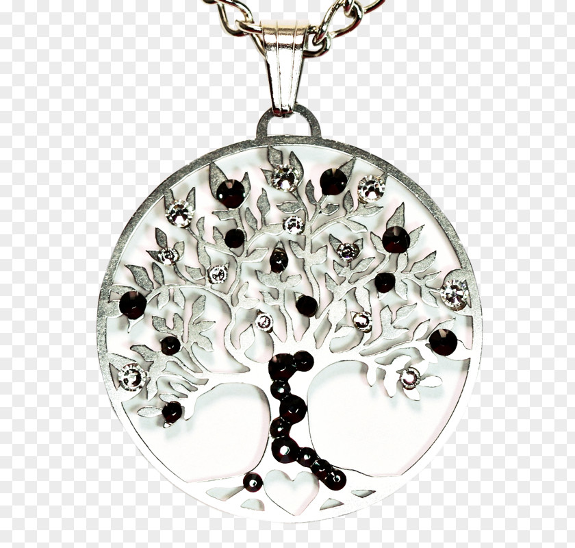 Jewellery Locket Body Silver PNG