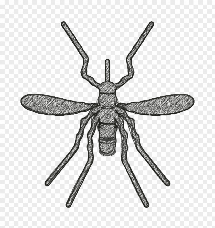 Mosquito Icon Insects PNG