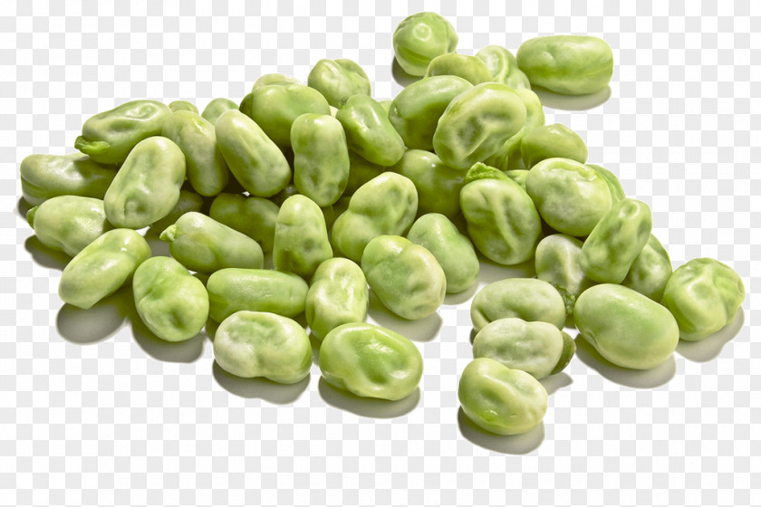 Stereoscopic Flower Broad Bean Vegetable Pea Common PNG