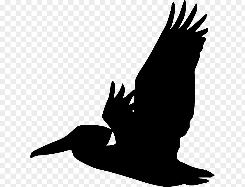 Deer Head Pelican Bird Silhouette Clip Art PNG