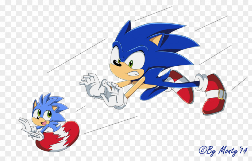 Forcing Vector Ariciul Sonic Rainbow Dash Amy Rose The Hedgehog 2 Chaos PNG