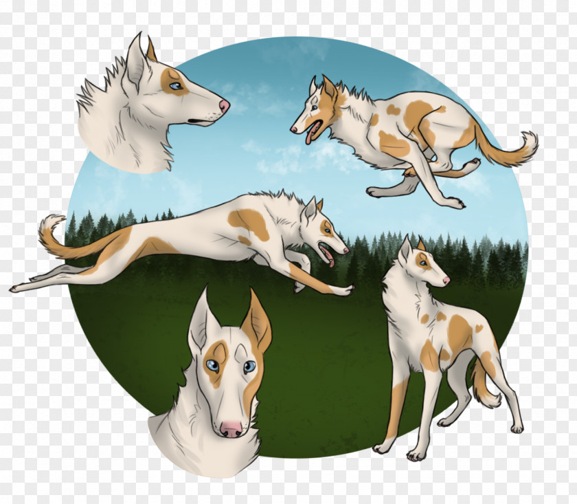 Whiteout Whippet Dog Breed Fauna 08626 PNG