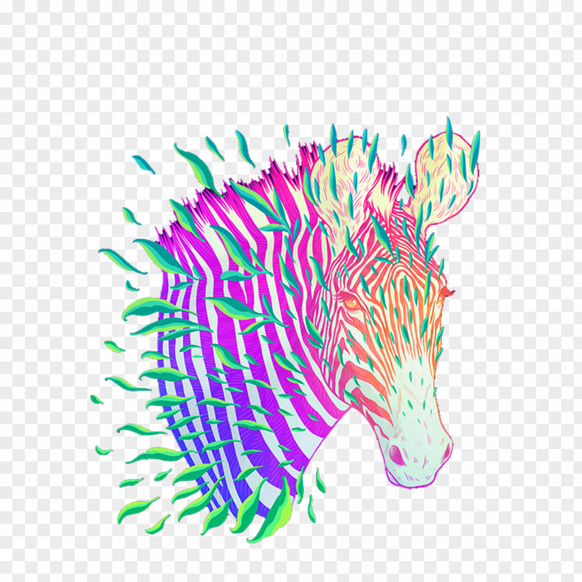 Zebra Stripe Illustration PNG