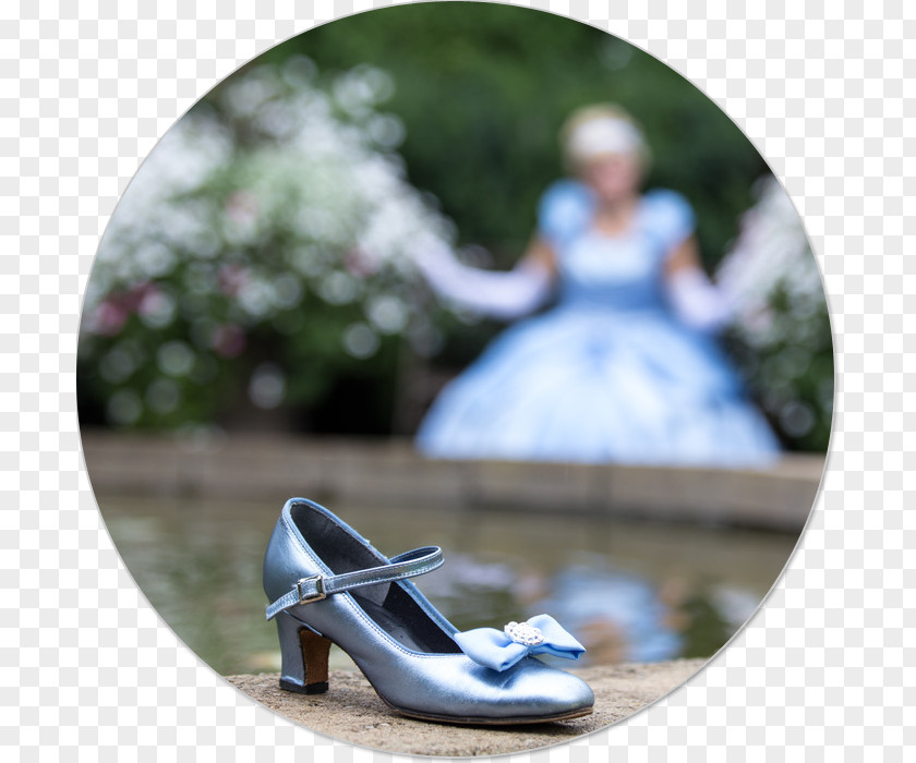 Cinderella Glass Shoe If The Fits (Whatever After #2) Whatever #1: Fairest Of All Dream On #4) Amazon.com PNG