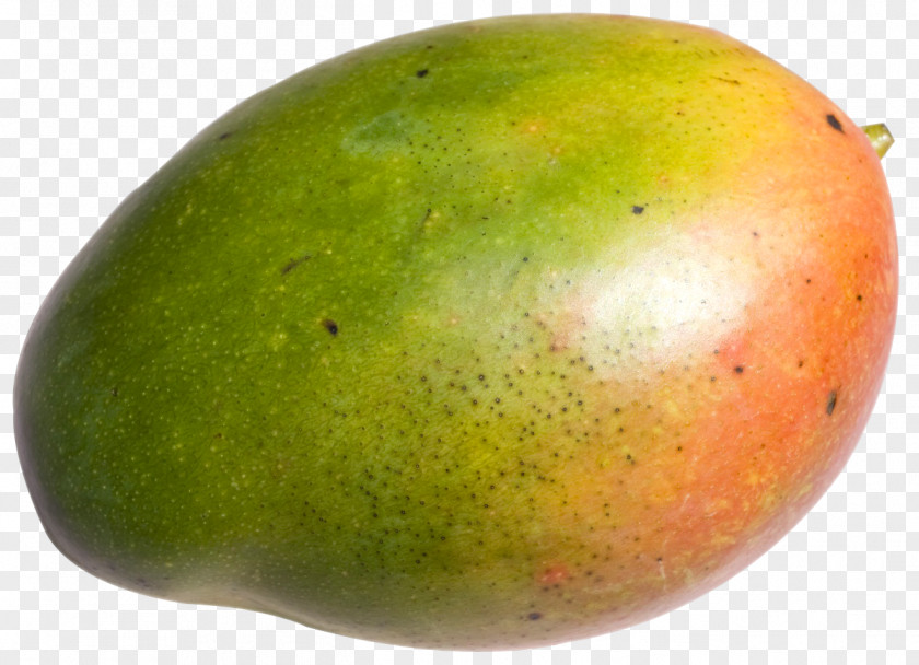 Delicious Mango Fruit Salad PNG
