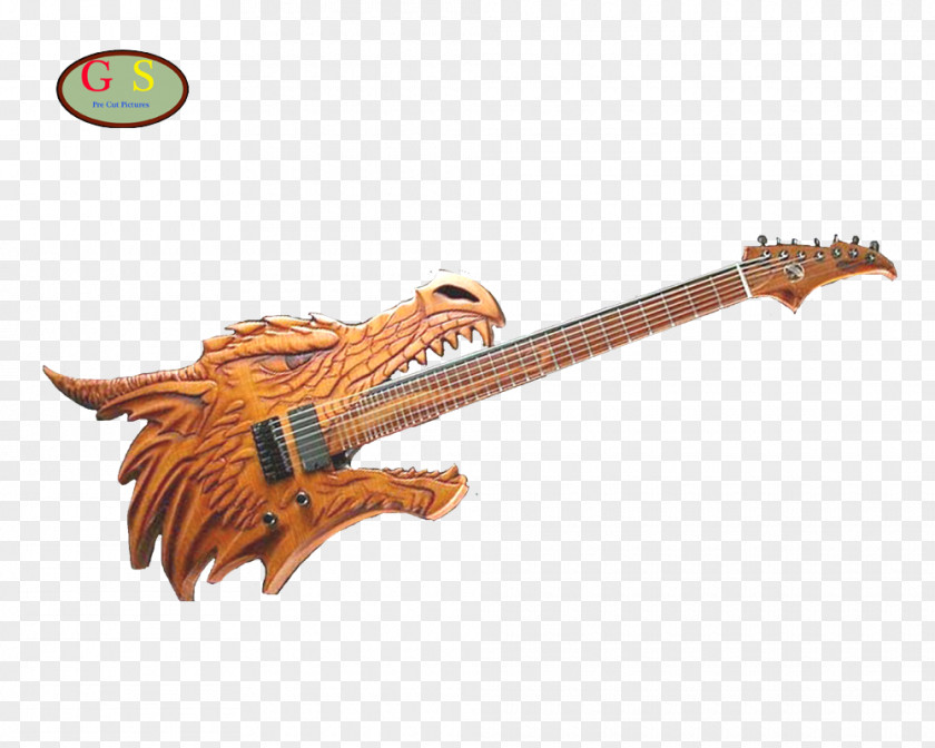 Diverse Guitar String Instruments Plucked Instrument Reptile Musical PNG