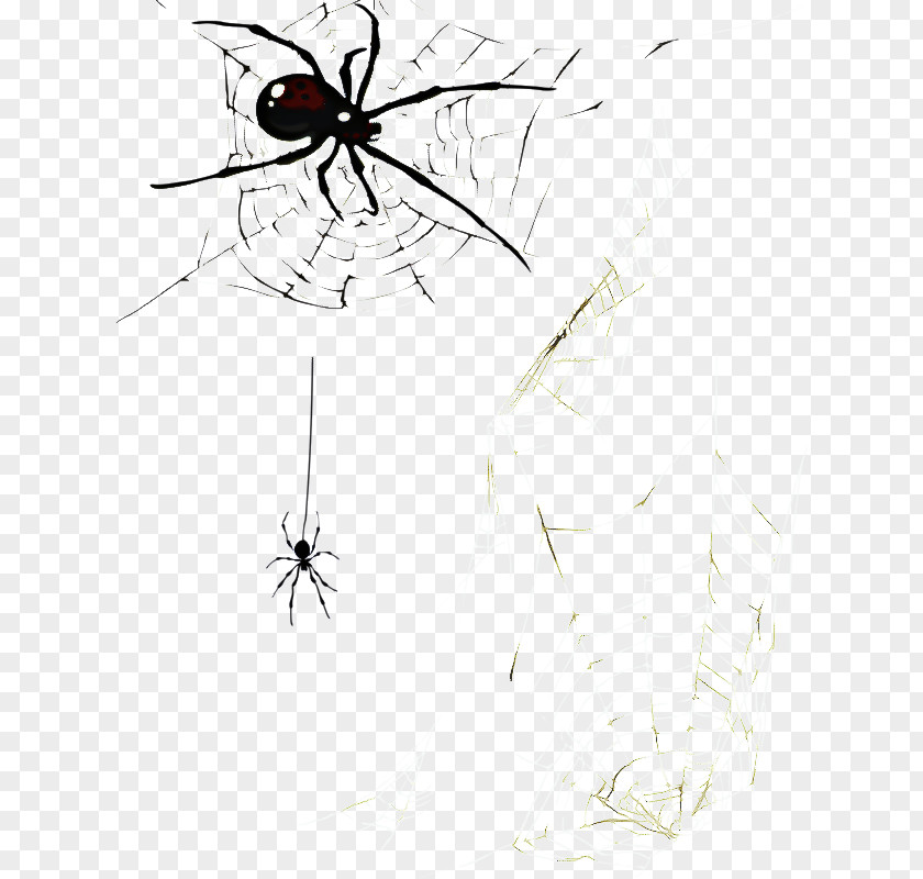 Drawing Blackandwhite Cartoon Spider PNG