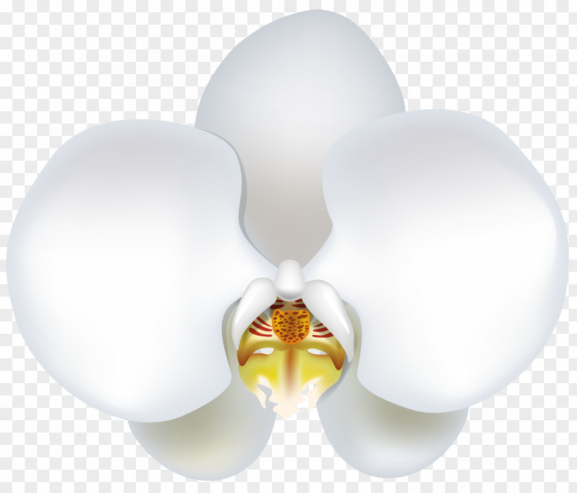 Pure As Snow Butterfly Flower Lighting PNG