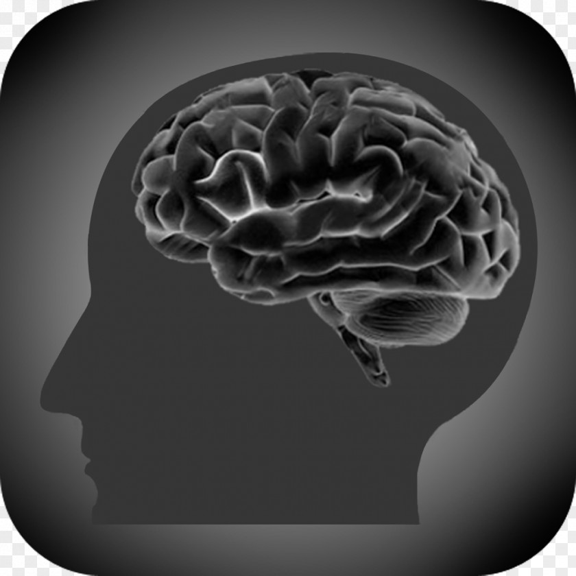 Brain Addiction Huntington's Disease Problem Gambling Cerebral Atrophy PNG