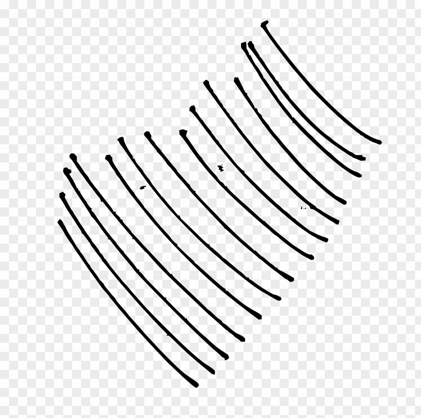 Curve Lines Line Clip Art PNG