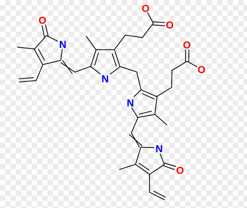 Jaundice Biliverdin Urine Hemoglobin Kidney Excretory System PNG