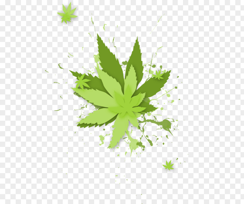 Leaf Desktop Wallpaper Drawing Cannabis Ruderalis PNG