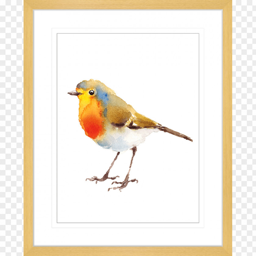 Tree-bird European Robin Bird Watercolor Painting Drawing PNG