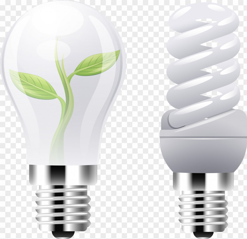Vector Bulb Lamp Incandescent Light Energy Conservation PNG