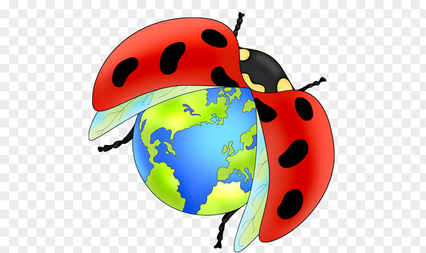 Beetle Ladybird Seven-spot Clip Art PNG