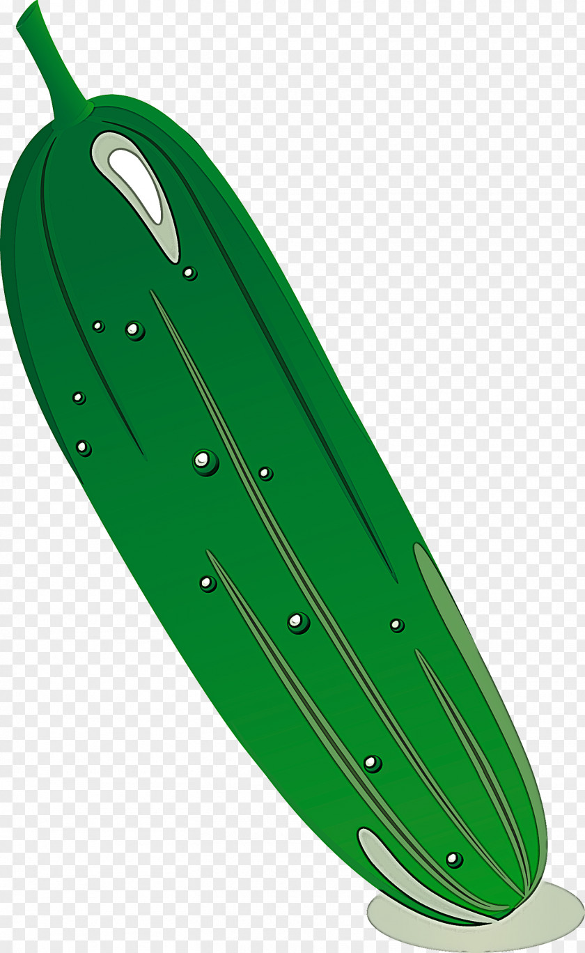 Green Skateboard Skateboarding Equipment Leaf Longboard PNG