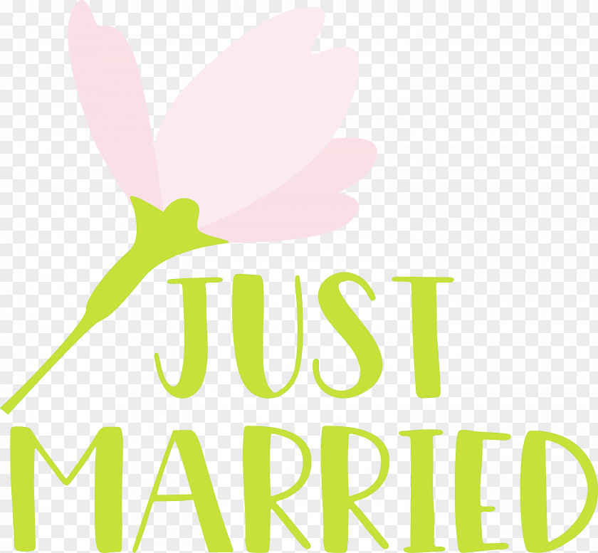 Just Married Wedding PNG