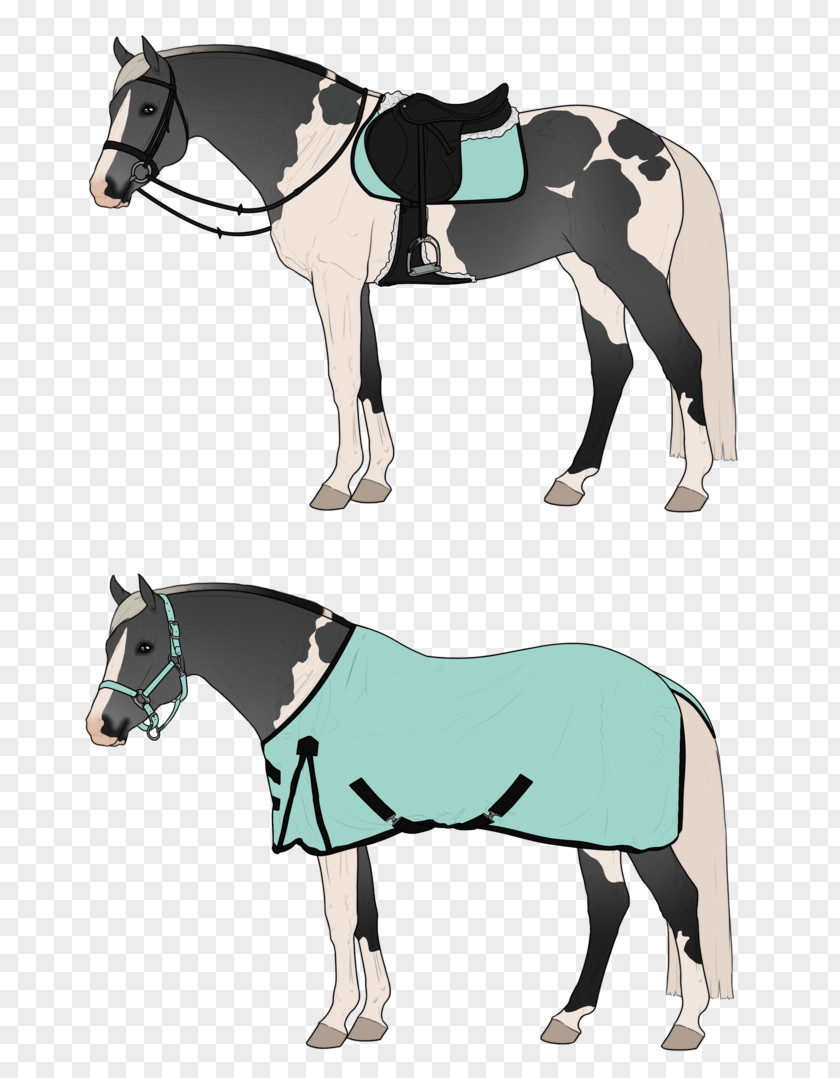 Mustang Pony Stallion Horse Harnesses Mane PNG