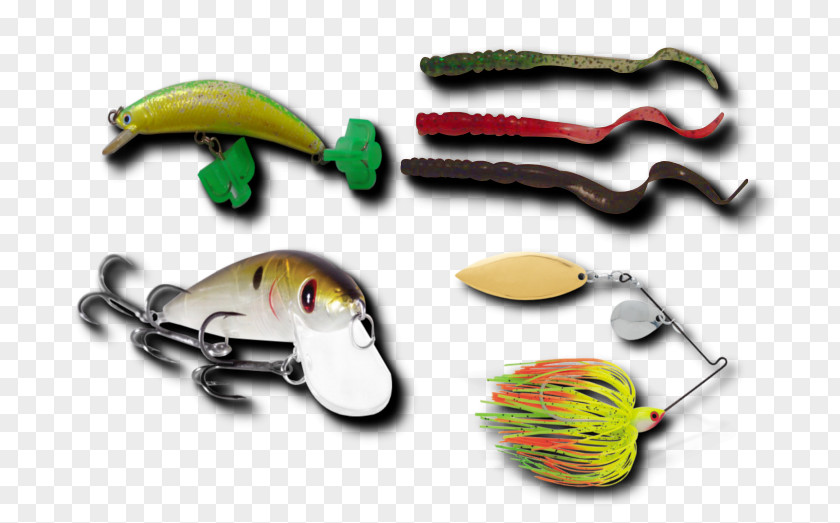Peixe Robalo Spoon Lure Spinnerbait Organism Product Design PNG
