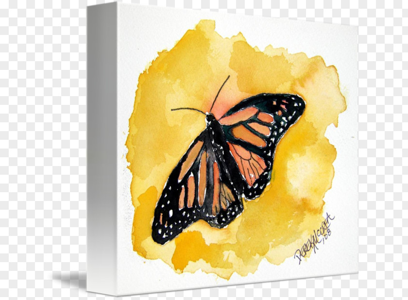 Watercolor Butterfly Monarch Painting Drawing PNG