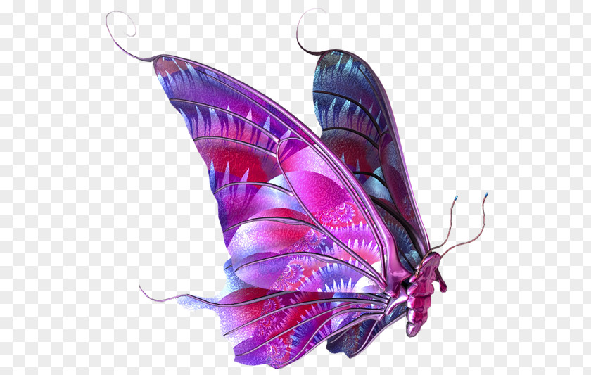 Butterfly Clip Art PNG