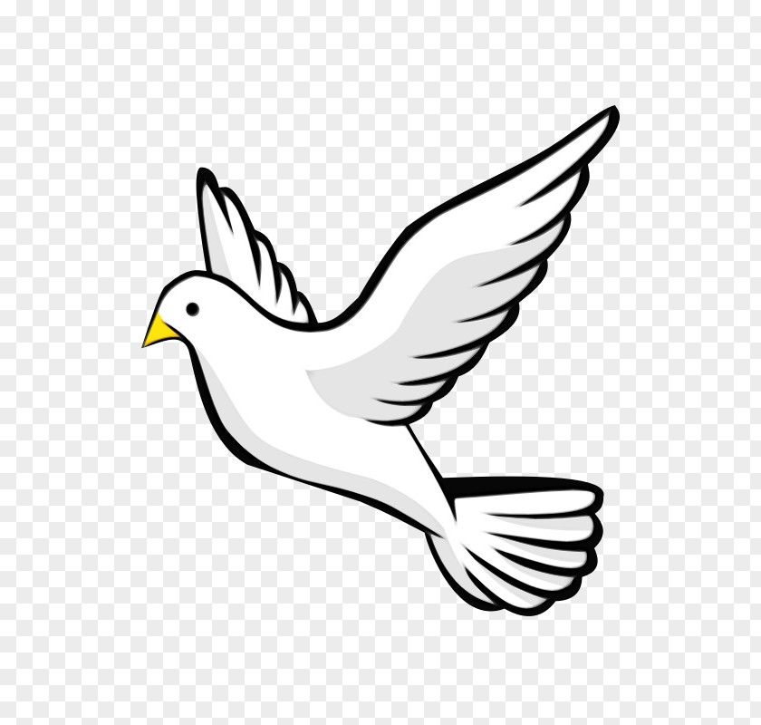 European Herring Gull Logo Bird Beak White Wing Line Art PNG