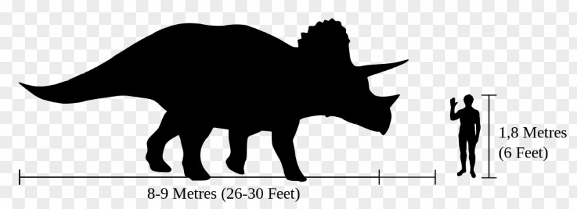 Greek Characteristics Ankylosaurus Tyrannosaurus Horned Dinosaurs Baby Triceratops Styracosaurus PNG