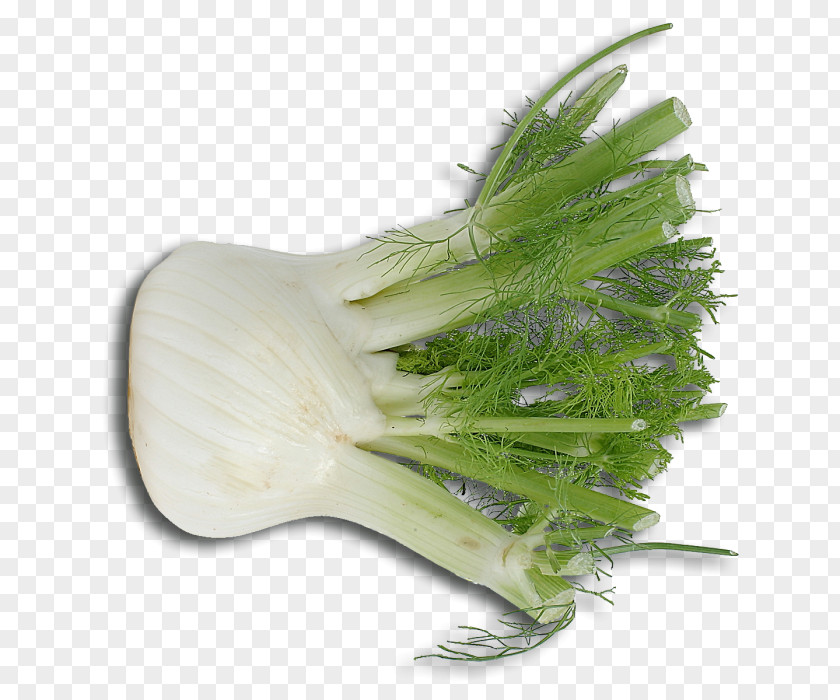 Handheld Garlic Mincer Fennel Scallion Italian Cuisine Vegetarian Herb PNG