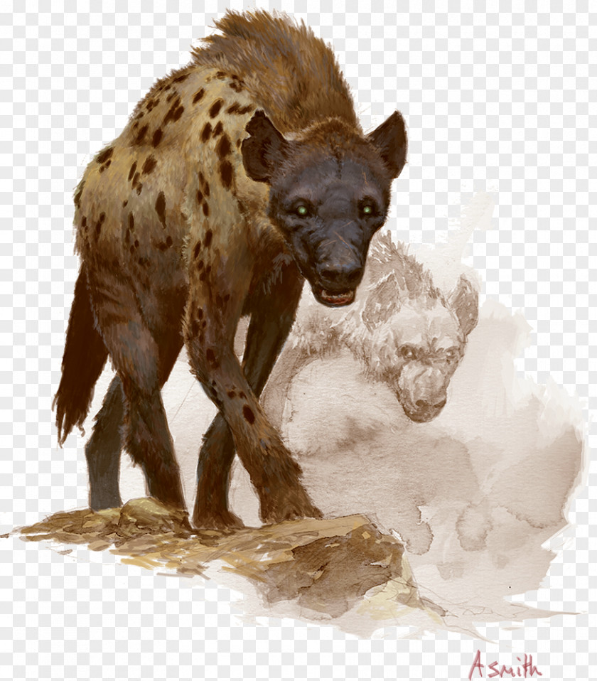 Hyena Conan The Barbarian Painting Hyperborea Shoulder PNG
