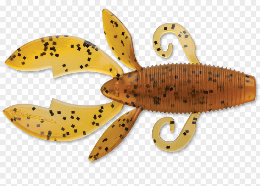 Insect Fish PNG