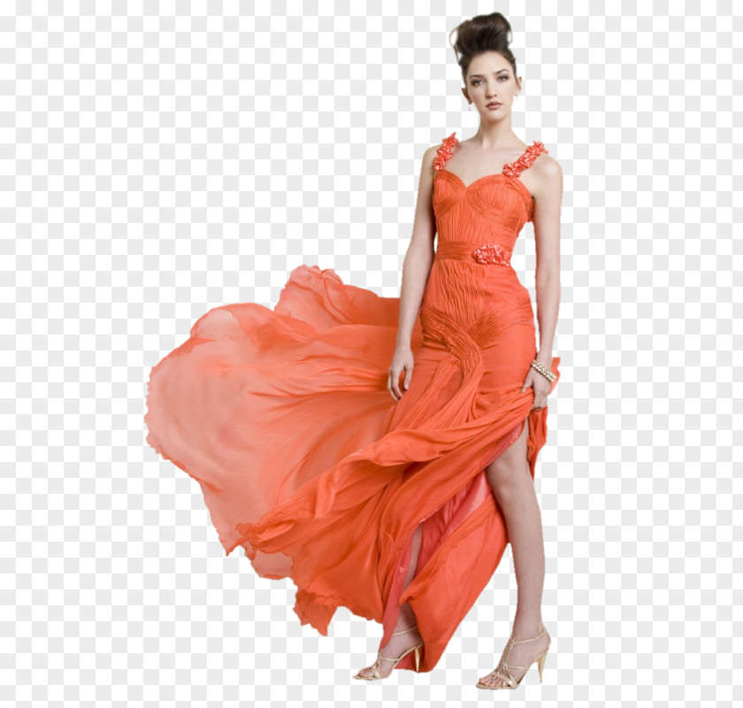 Painting Woman Dress PNG