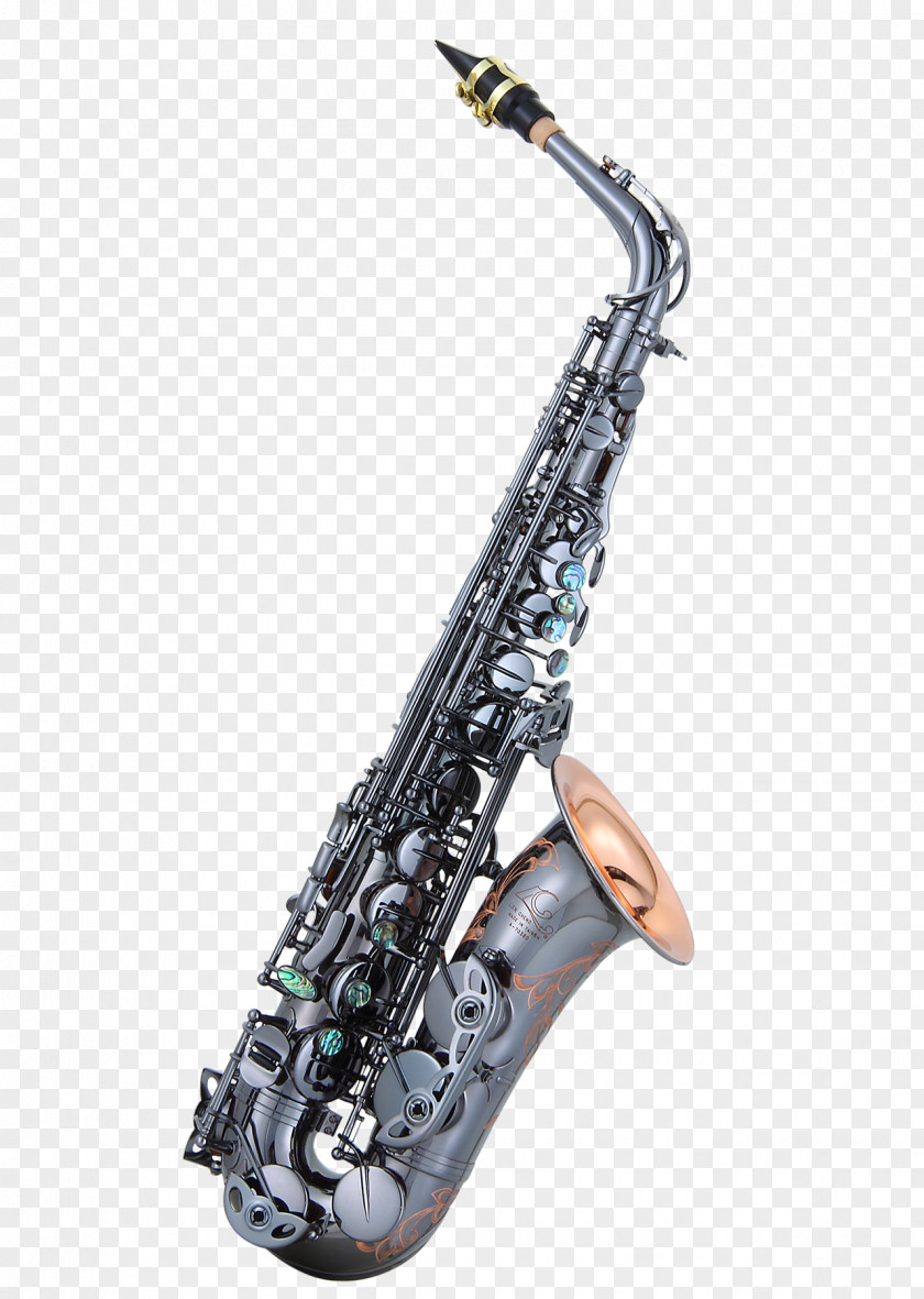 Saxophone Chang Lien-cheng Museum Alto Tenor PNG