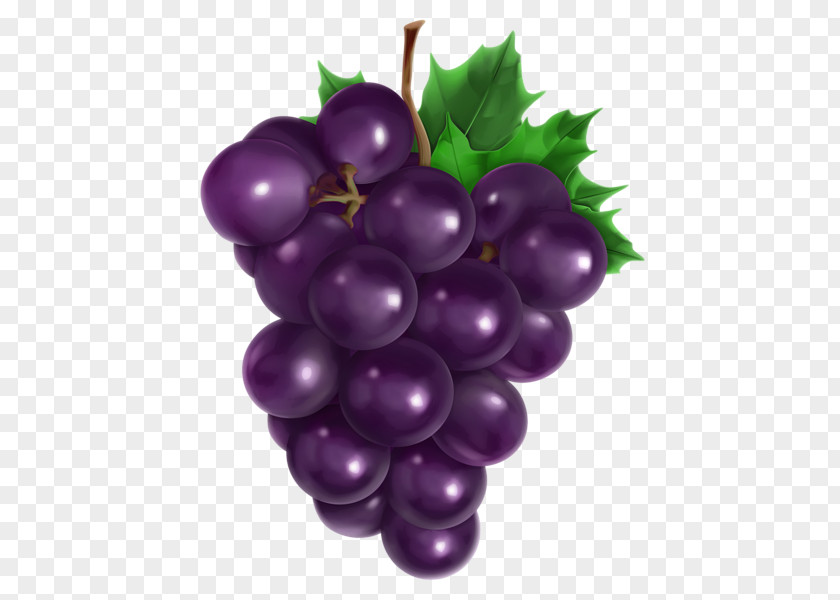 Three-dimensional Cartoon Purple Grapes Common Grape Vine Seed Oil Avocado PNG