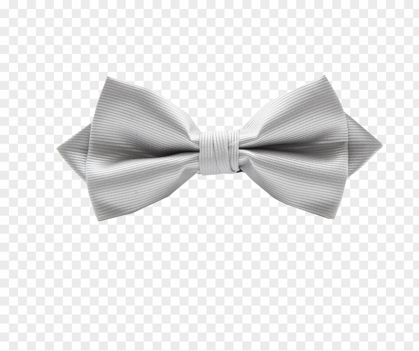 Tie Bow Color Necktie Argent PNG
