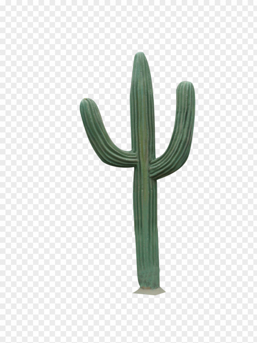 Cactus 4 Cactaceae Clip Art PNG