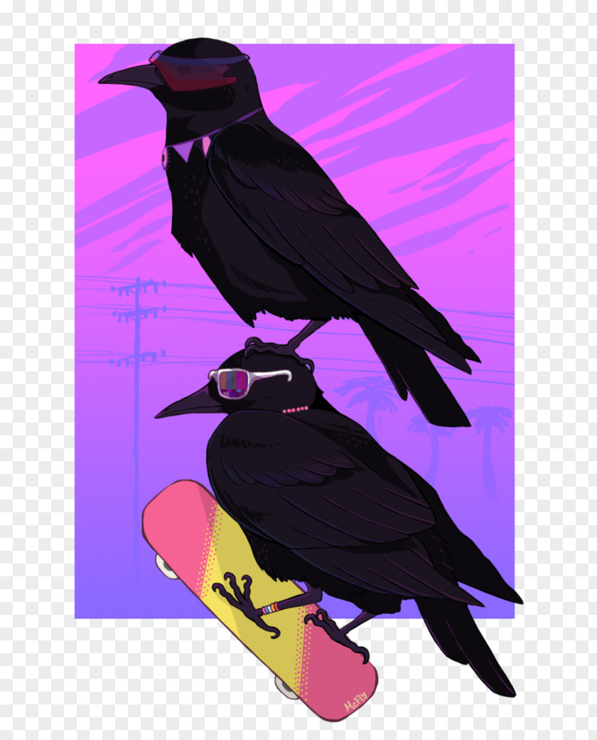 Crow Common Raven Beak PNG