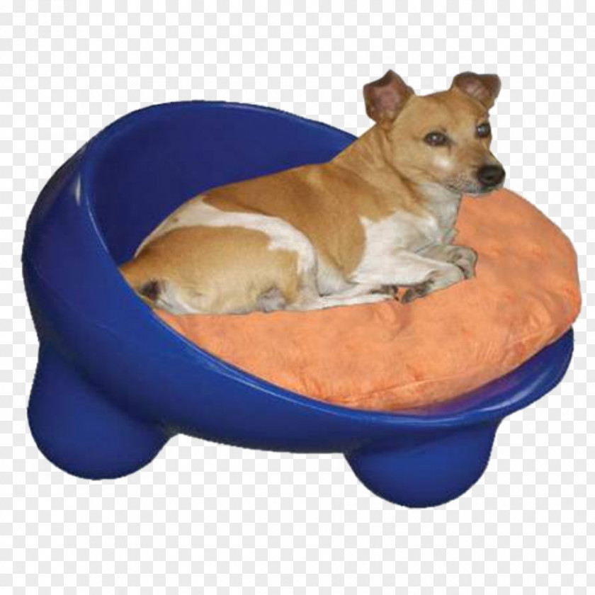 Large Elevated Dog Dishes Breed Chihuahua Puppy Police Small / Cat Bed PNG