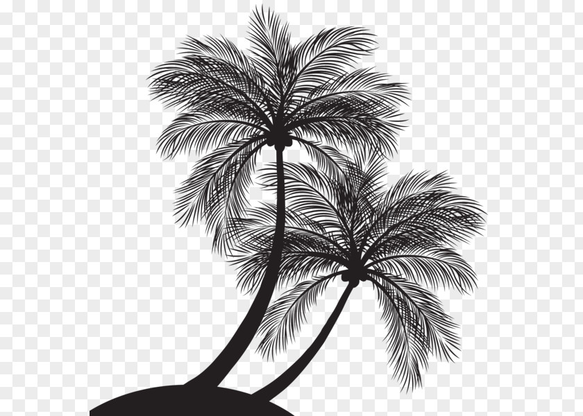 Silhouette Palm Trees Vector Graphics Clip Art Illustration PNG